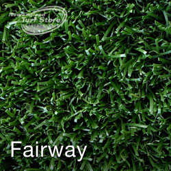 Product image of our Fairway synthetic surface