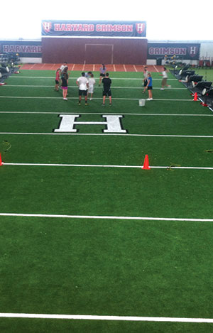 new england turf