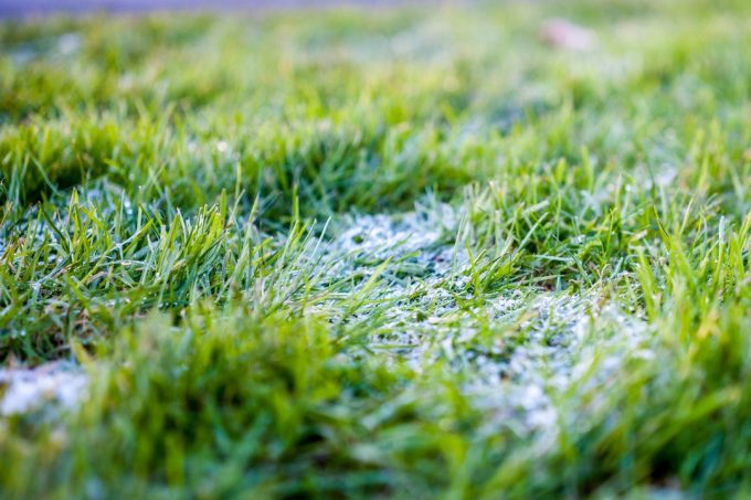 artificial turf installation