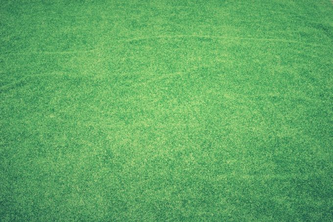 fake turf grass
