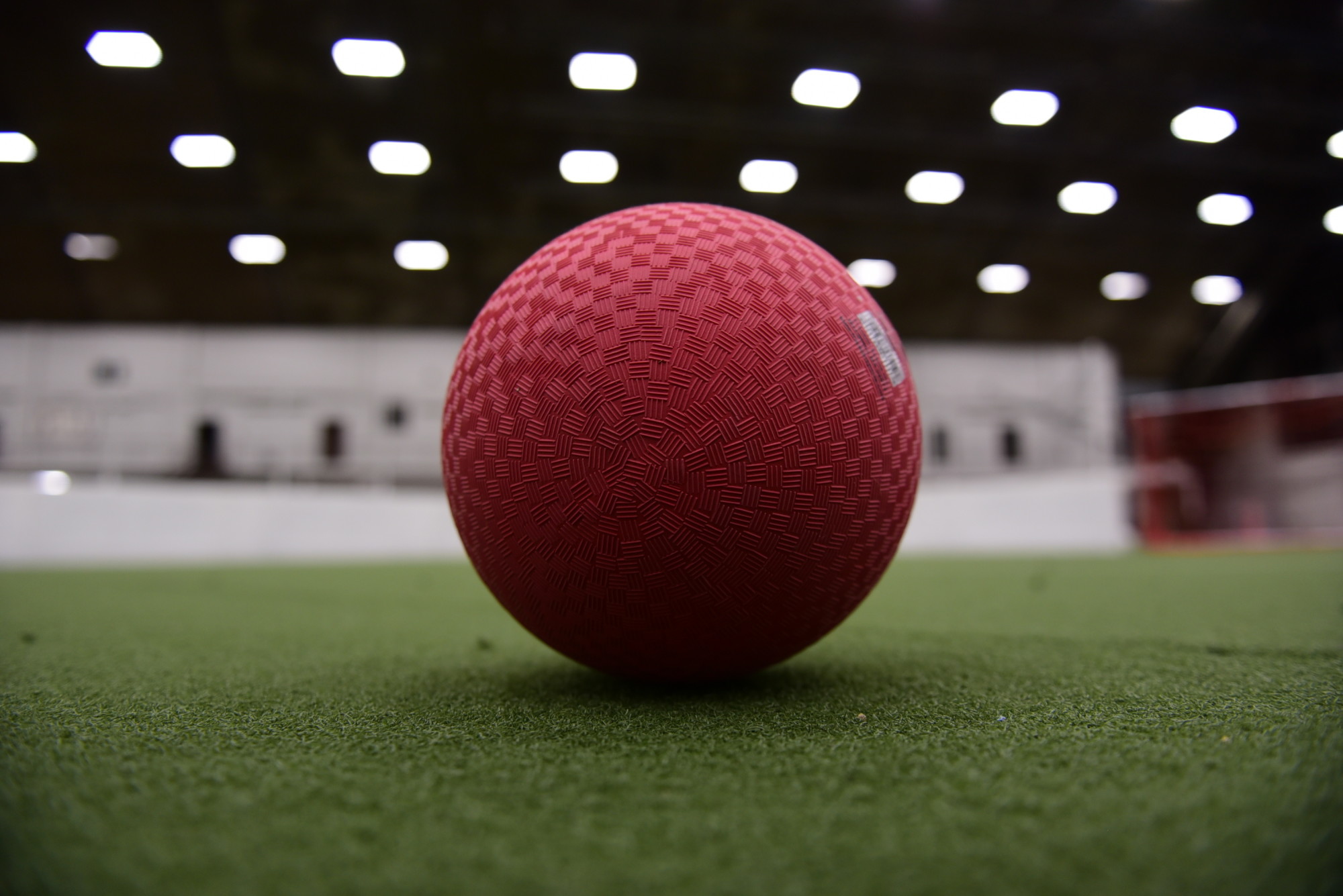 indoor turf fields
