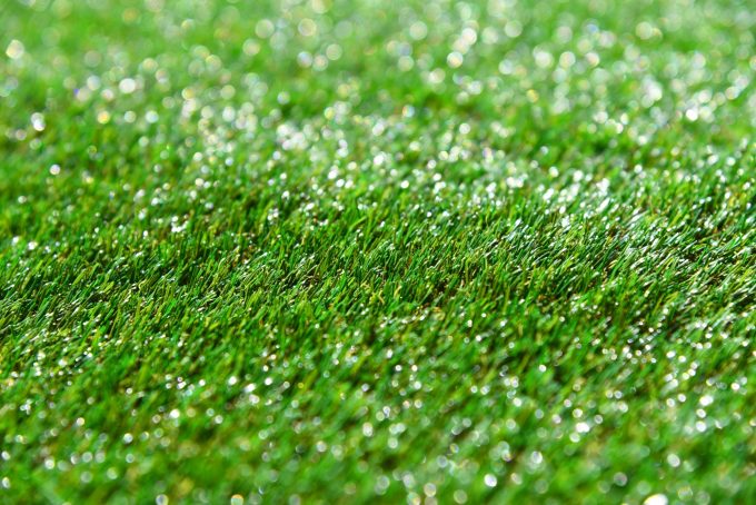 indoor turf fields for sports