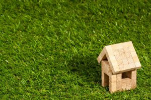 Buy artificial grass