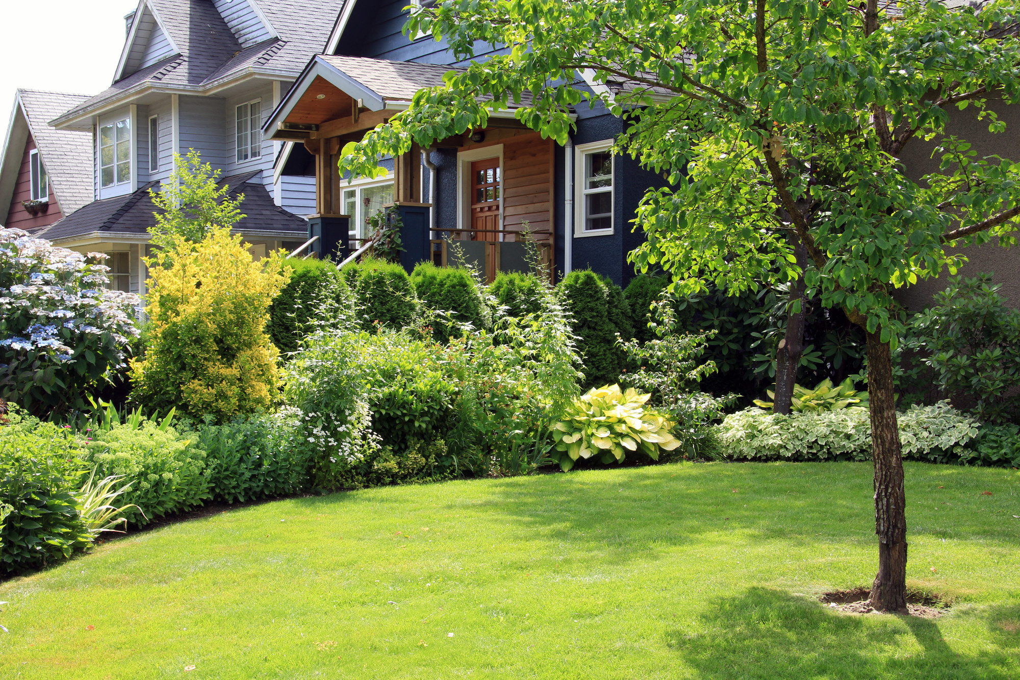 artificial grass residential installation