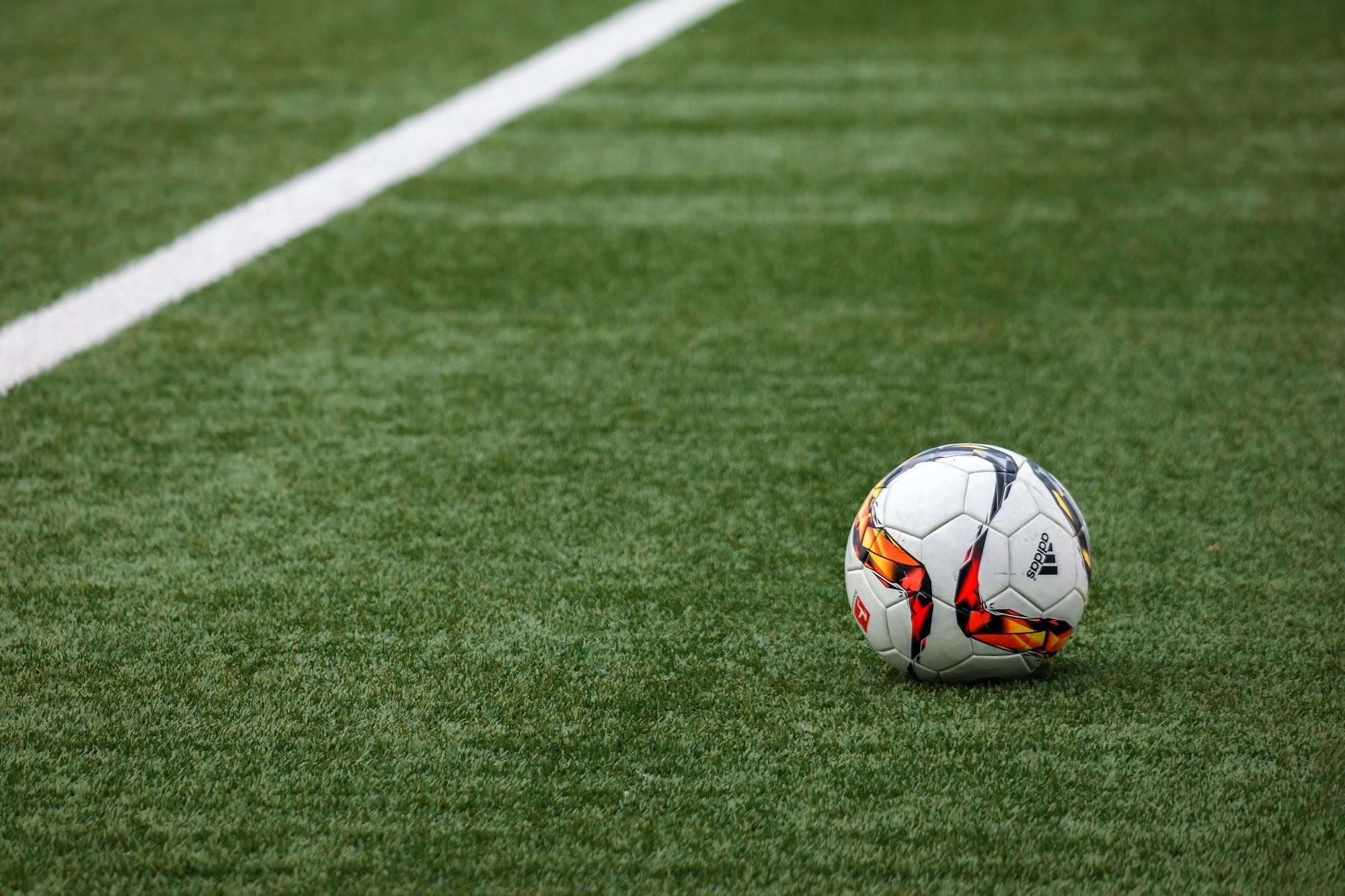 Artificial Turf Cost Expensive Or Reasonable New England Turf Store