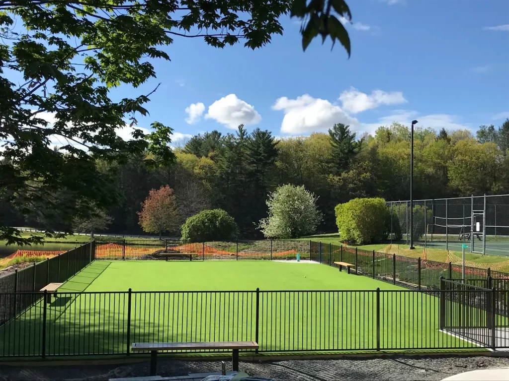 artificial grass lawn at park