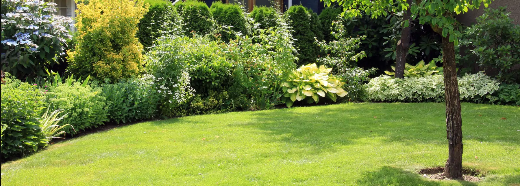 residential artificial grass lawn