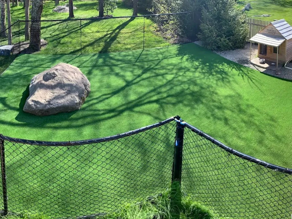 Artificial grass dog park from New England Turf Store