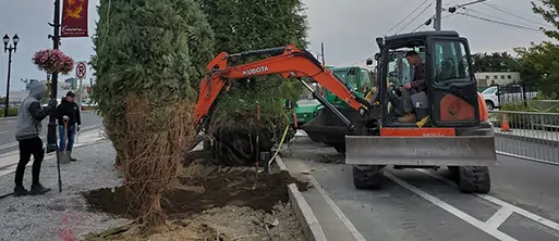 New England Turf Store excavation service